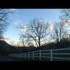 Meet your Posher, Brandy